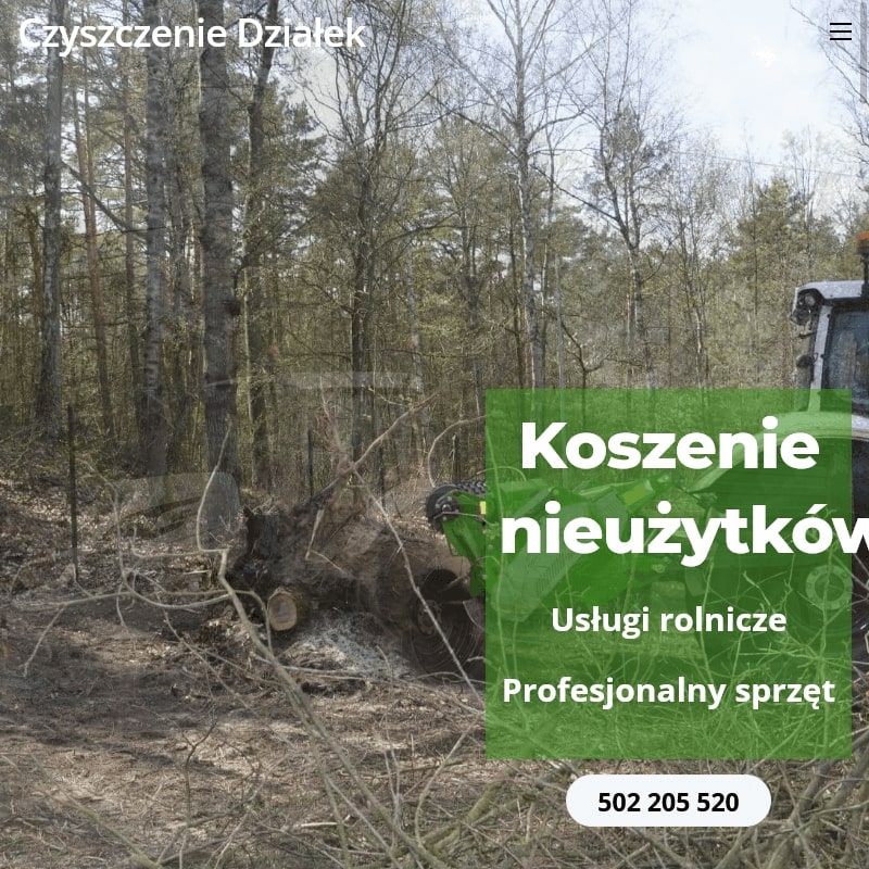 Warszawa - profesjonalna wycinka drzew