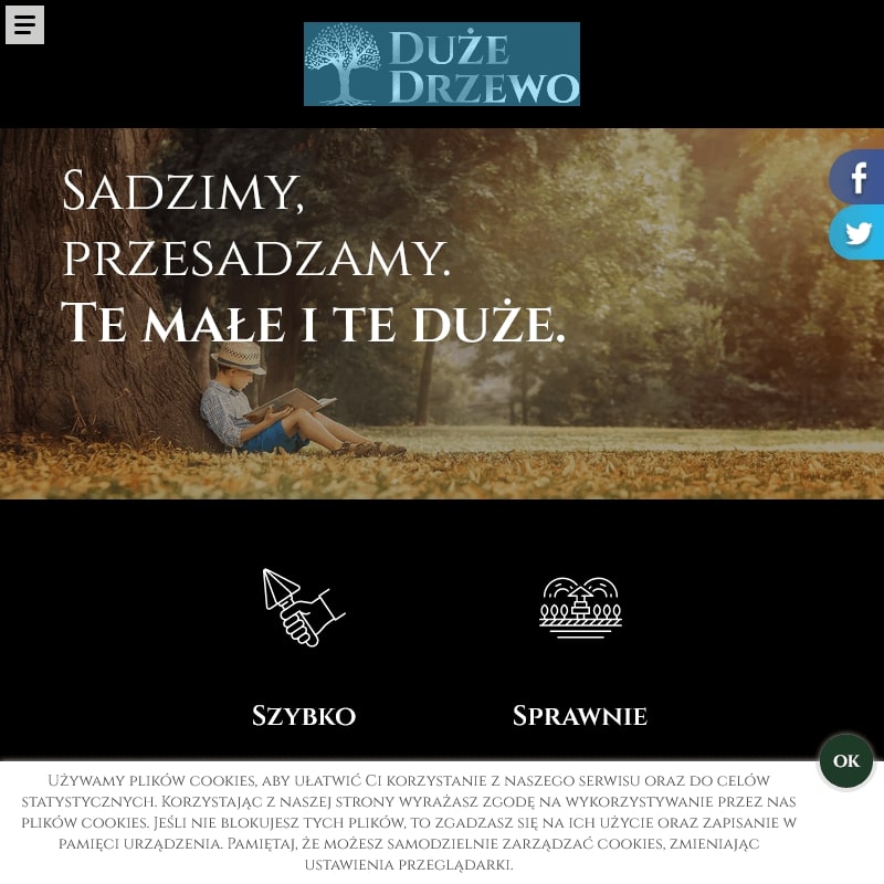 Przesadzanie drzew mazowieckie - Warszawa